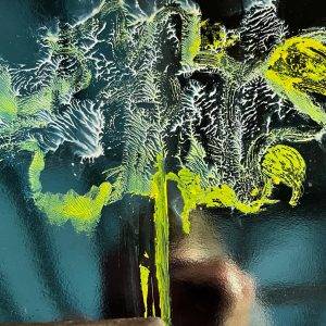 Exhibition Villa Mondrian visual artist Alexandra Meerdink 1