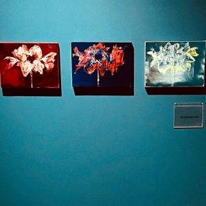 Exhibition Villa Mondrian visual artist Alexandra Meerdink 2