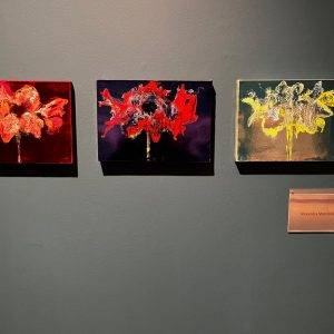 Exhibition Villa Mondrian visual artist Alexandra Meerdink 3