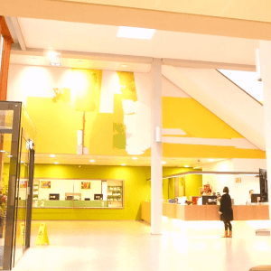 Art commission public space Winterswijk town hall by artist Alexandra Meerdink