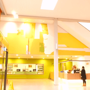 Art commission public space Winterswijk town hall by artist Alexandra Meerdink