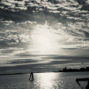 Venice Biennale, artist Alexandra Meerdink