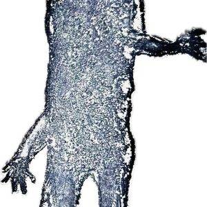 Figure - Etching on copper plate 3